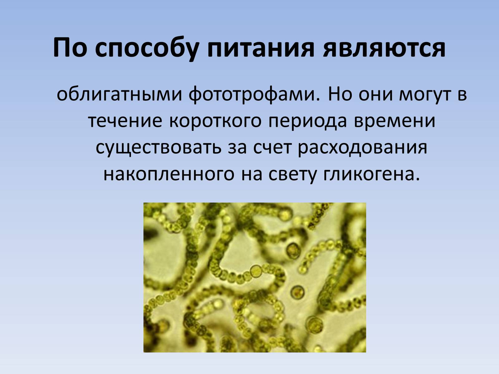 Презентація на тему «Цианобактерии» - Слайд #10