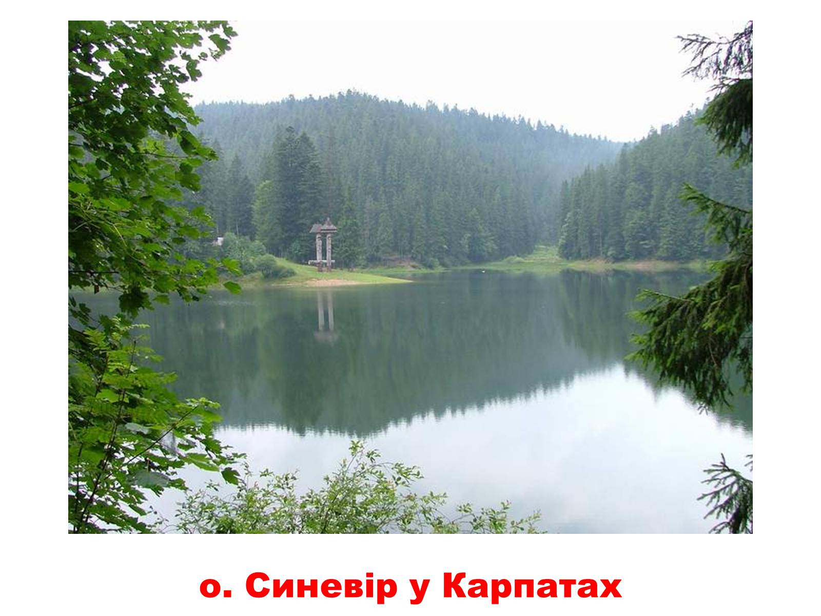 Презентація на тему «Природа України» - Слайд #4