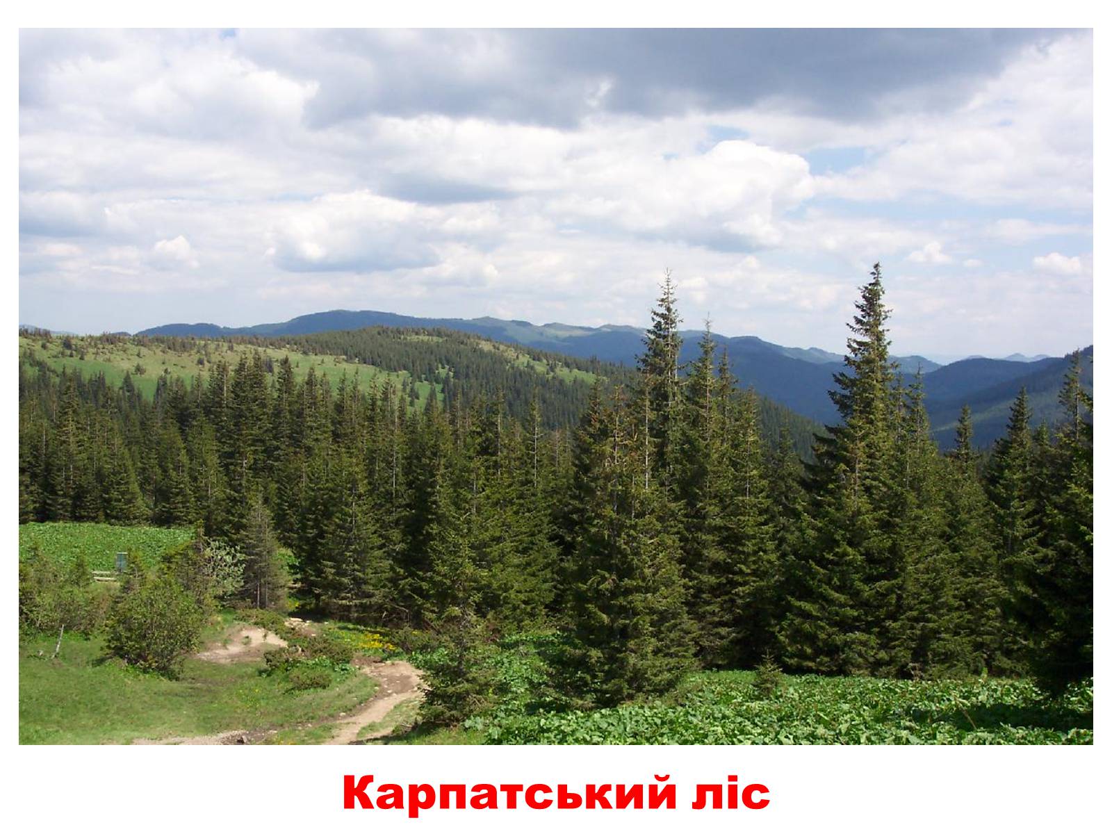 Презентація на тему «Природа України» - Слайд #5