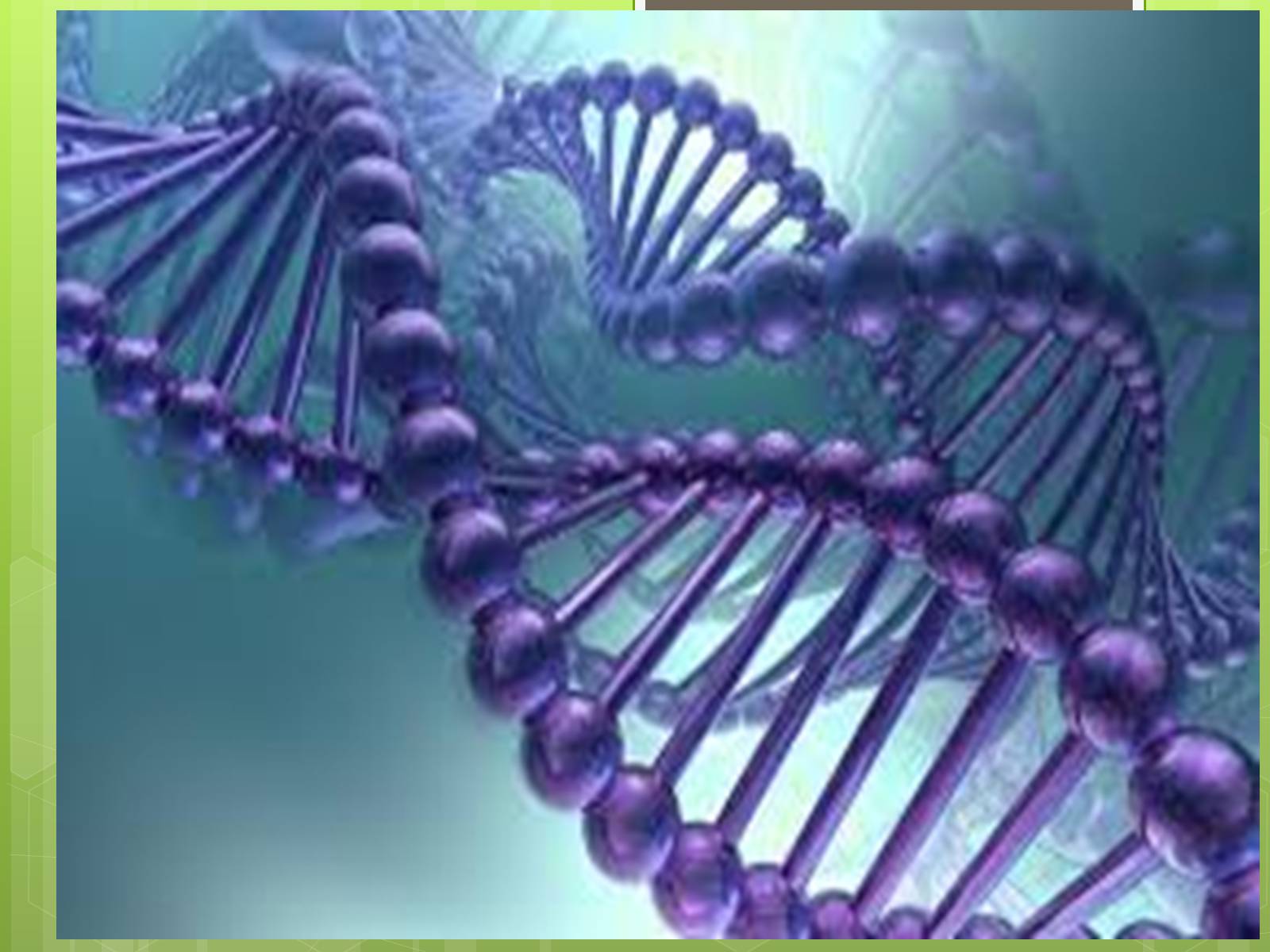 Презентація на тему «Молекулярна діагностика генів людини» - Слайд #5