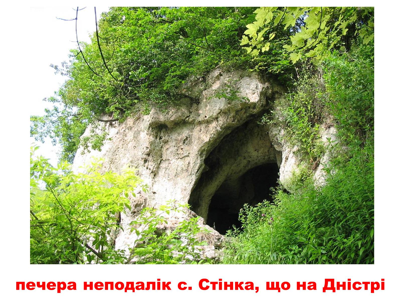 Презентація на тему «Природа України» - Слайд #14
