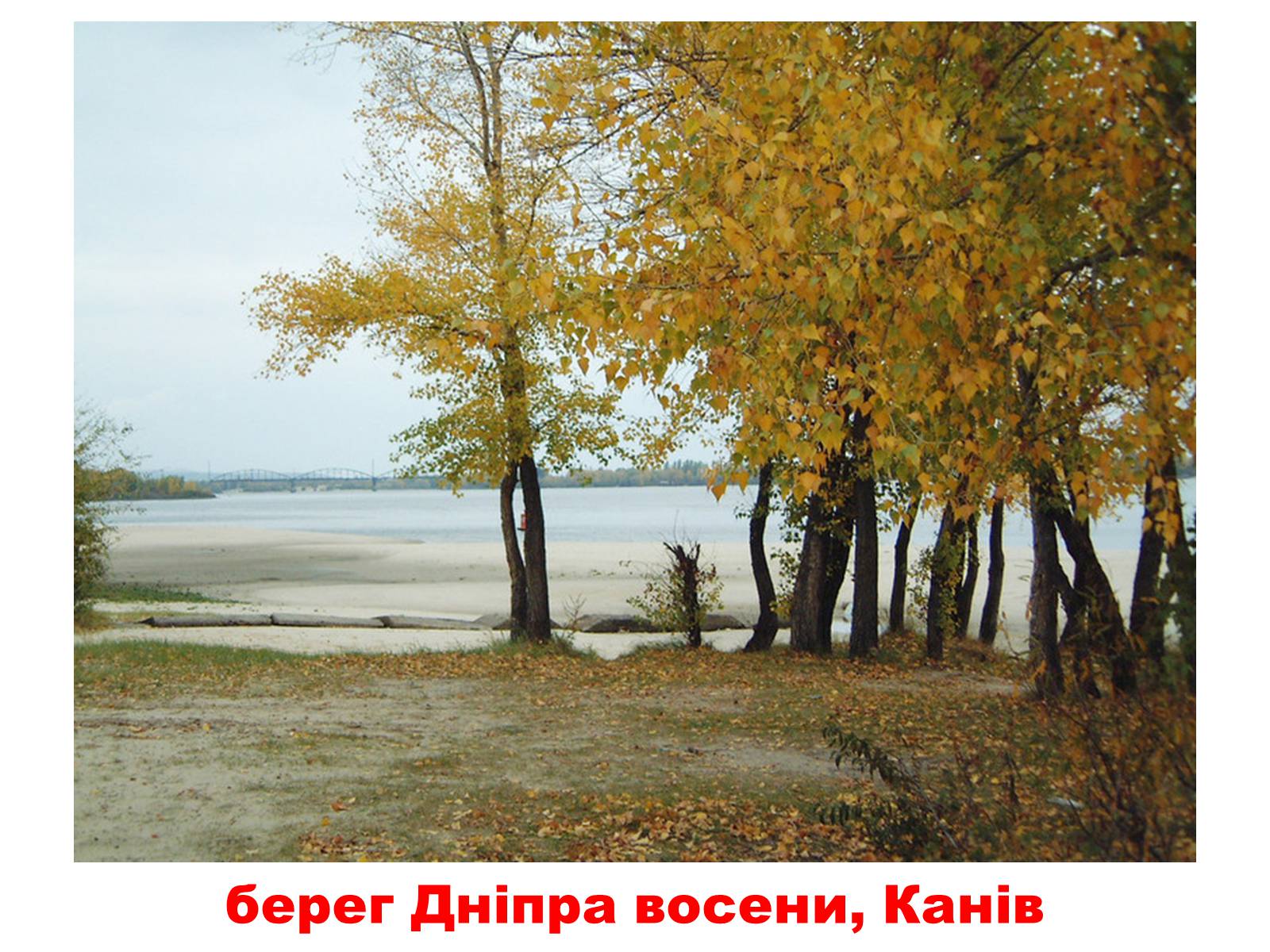 Презентація на тему «Природа України» - Слайд #16