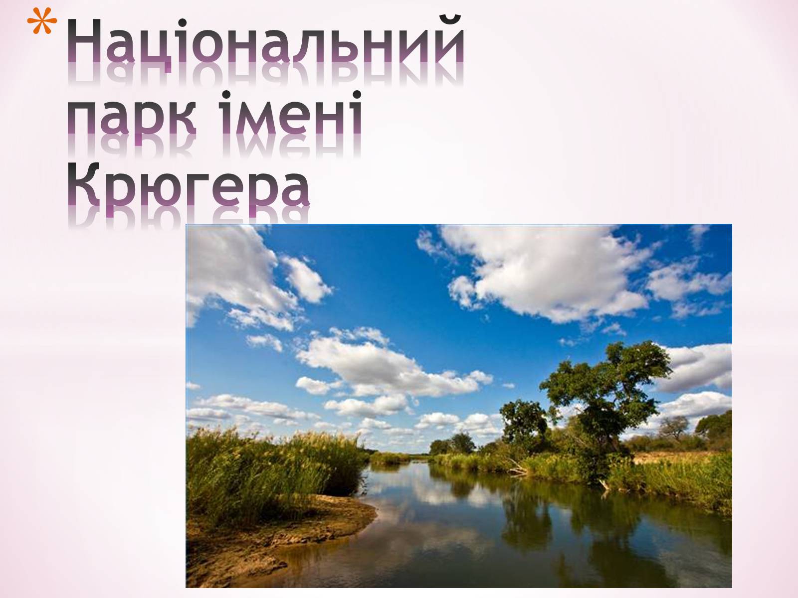 Презентація на тему «Національний парк імені Крюгера» - Слайд #1