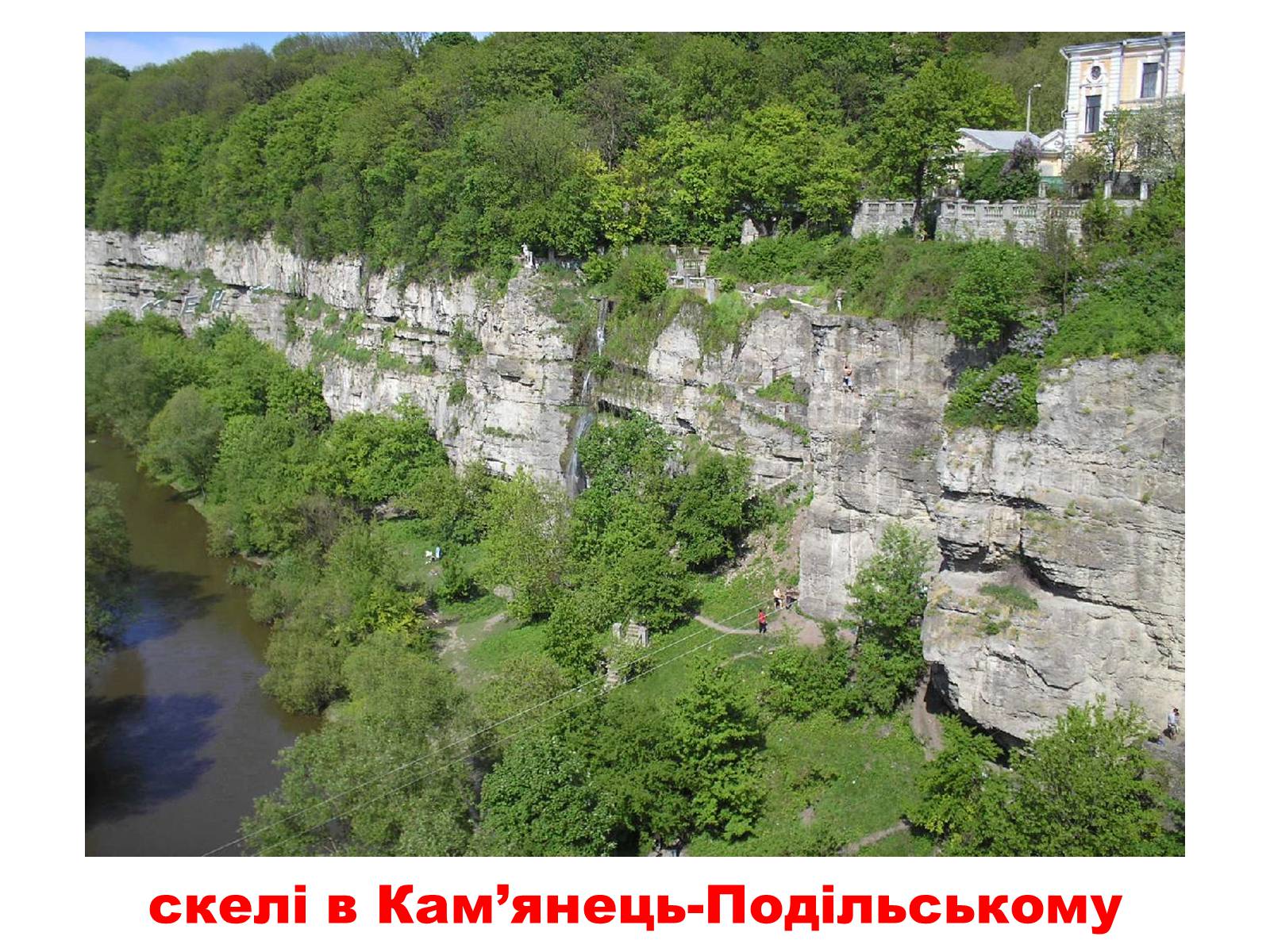 Презентація на тему «Природа України» - Слайд #18