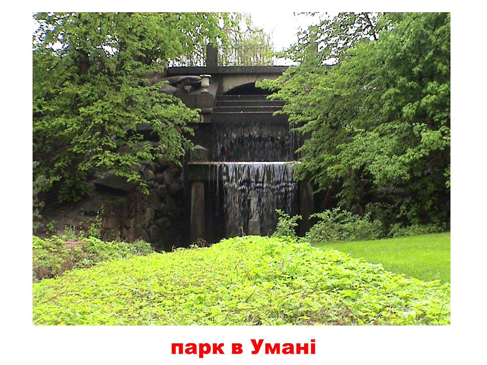 Презентація на тему «Природа України» - Слайд #22