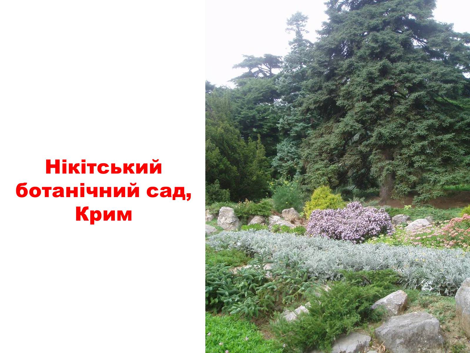Презентація на тему «Природа України» - Слайд #30