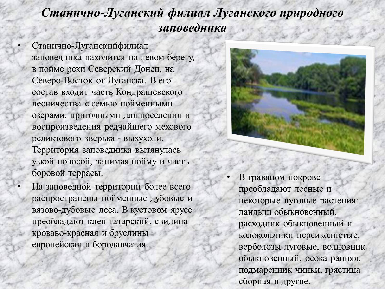 Презентація на тему «Природно-заповедные территории Луганской области» - Слайд #4