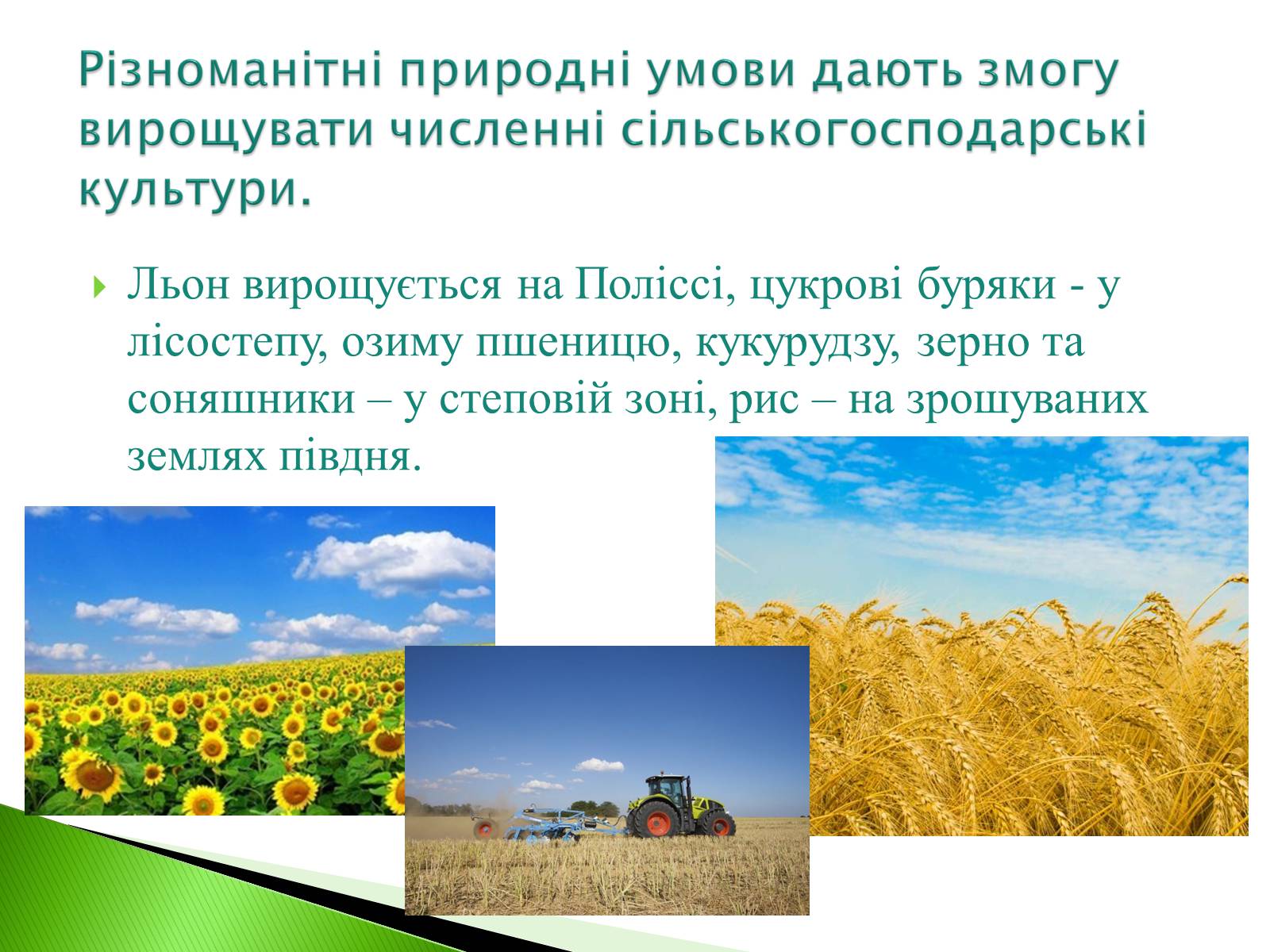 Презентація на тему «Господарство України» - Слайд #14