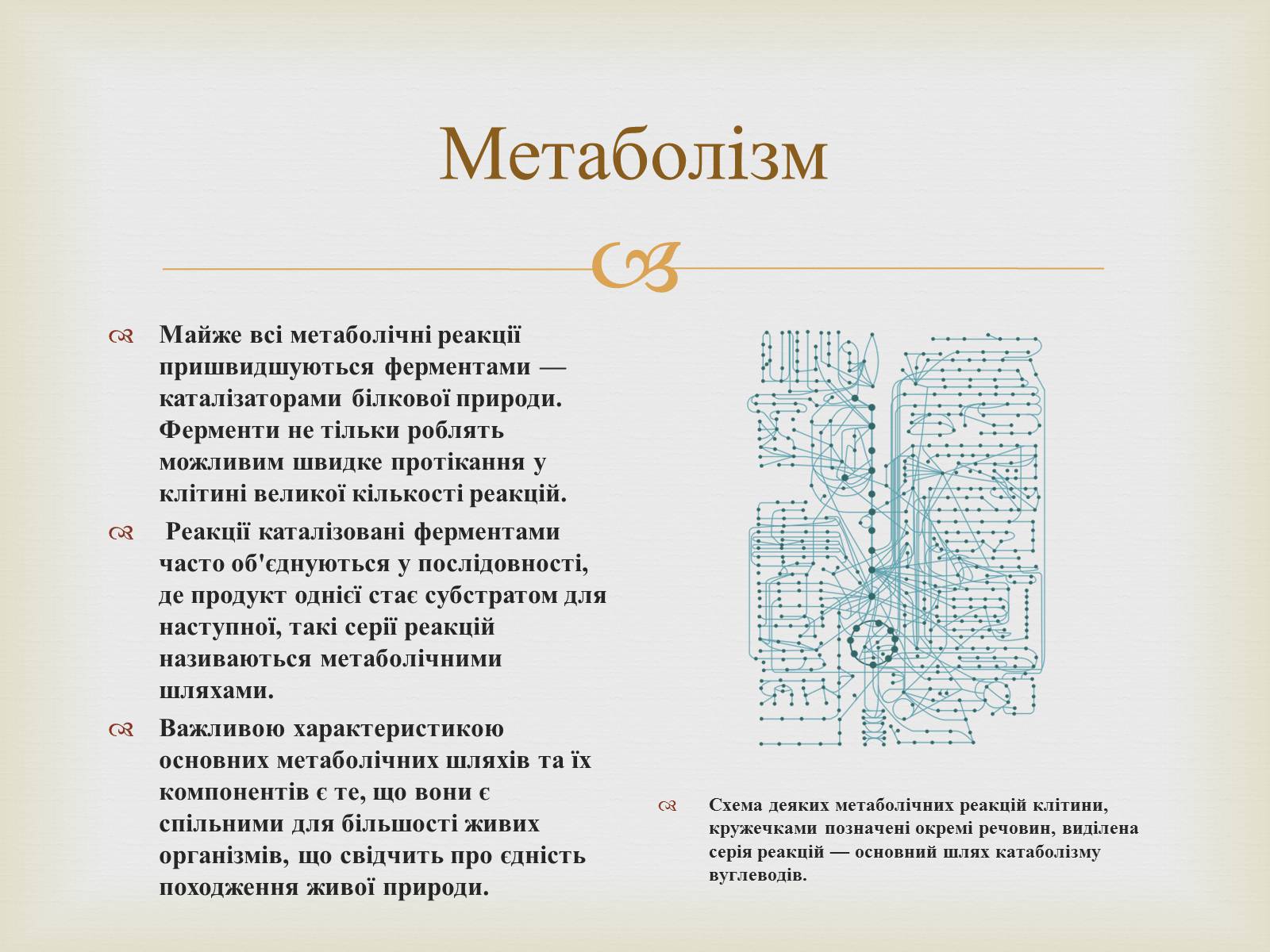 Презентація на тему «Метаболізм» - Слайд #3