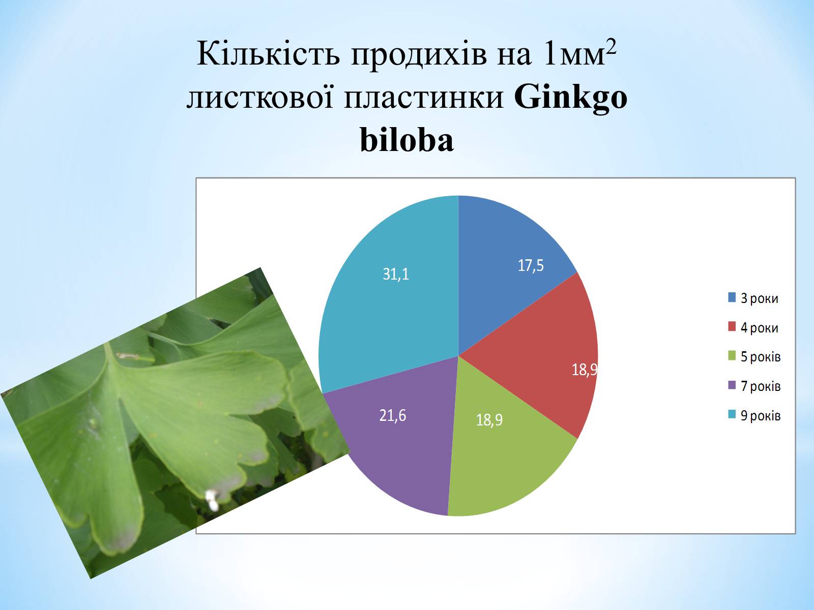 Презентація на тему «Особливості вирощування Гінкго Двоплатове» - Слайд #14