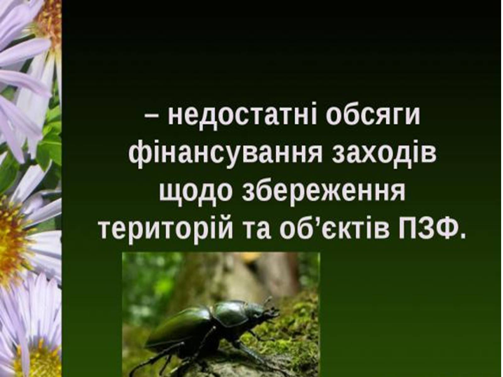 Презентація на тему «Природно-заповідний фонд України» (варіант 1) - Слайд #22