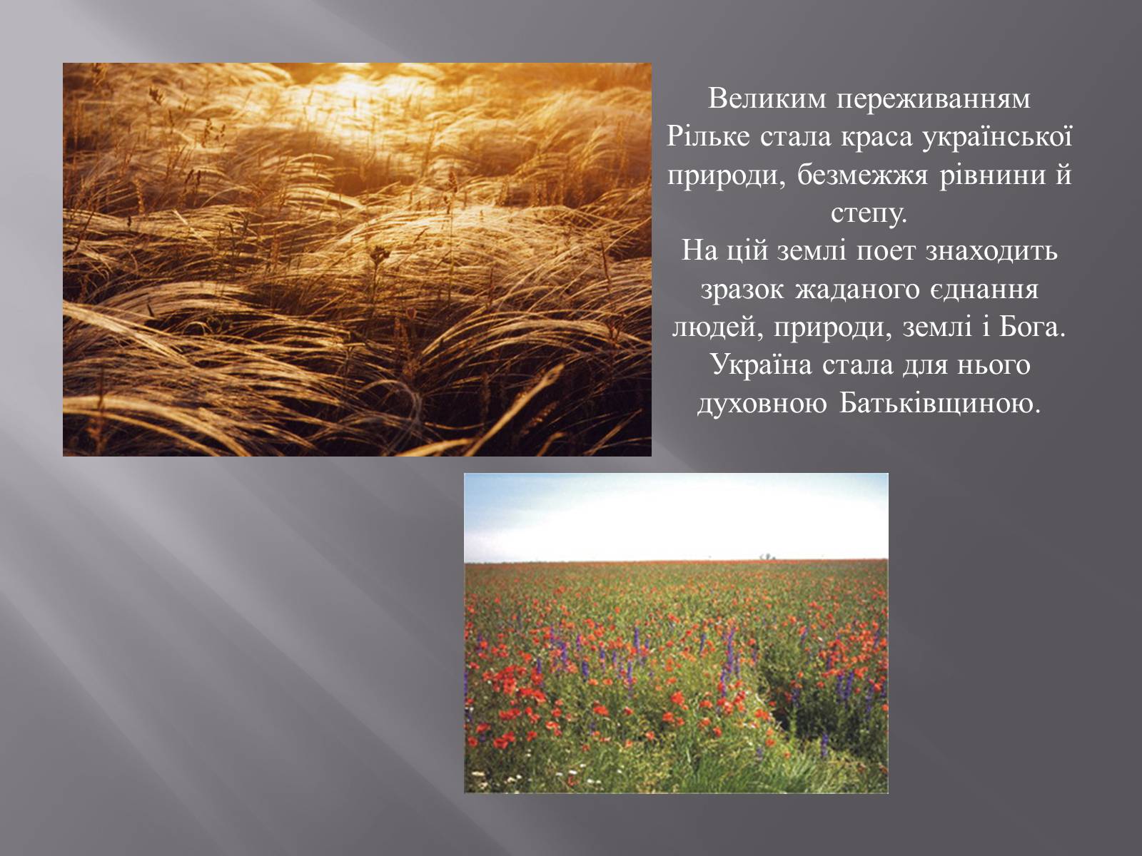 Презентація на тему «Р.М.Рільке і Україна» - Слайд #5