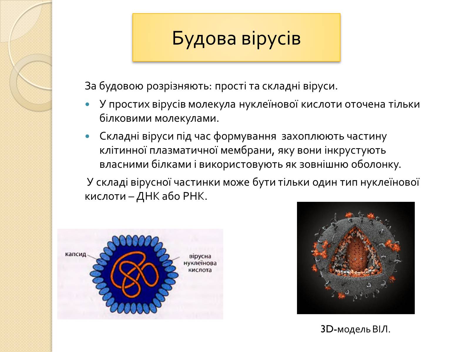Презентація на тему «Віруси» (варіант 21) - Слайд #5