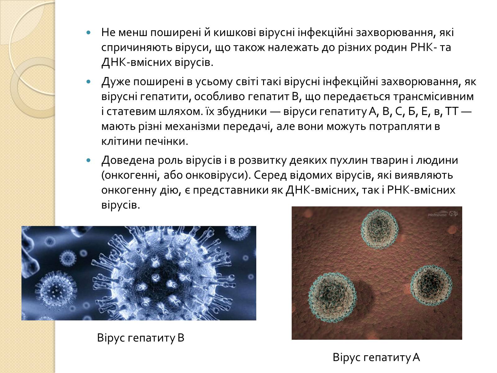 Презентація на тему «Віруси» (варіант 21) - Слайд #12