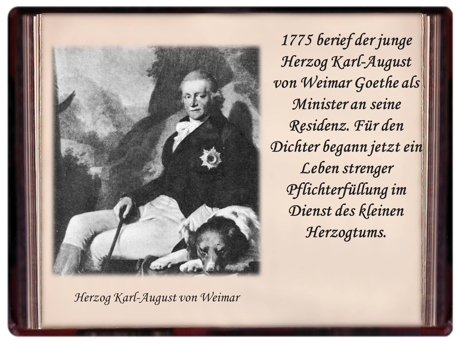 Презентація на тему «Johann Wolfgang von Goethe» (варіант 2) - Слайд #8