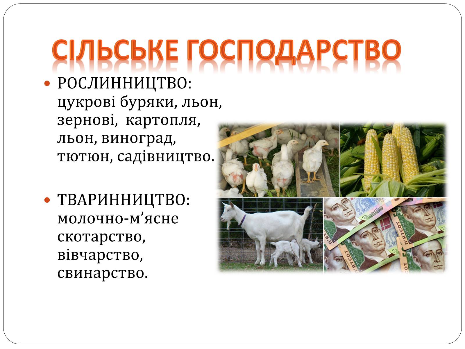 Презентація на тему «Карпатський економічний район» (варіант 3) - Слайд #8