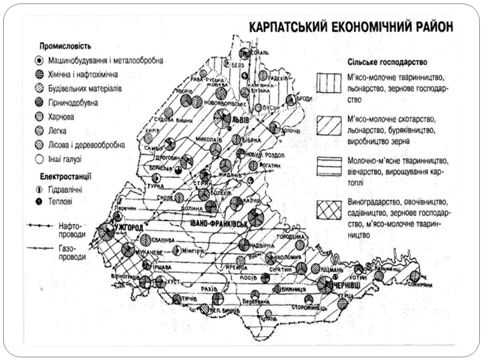 Презентація на тему «Карпатський економічний район» (варіант 3) - Слайд #9