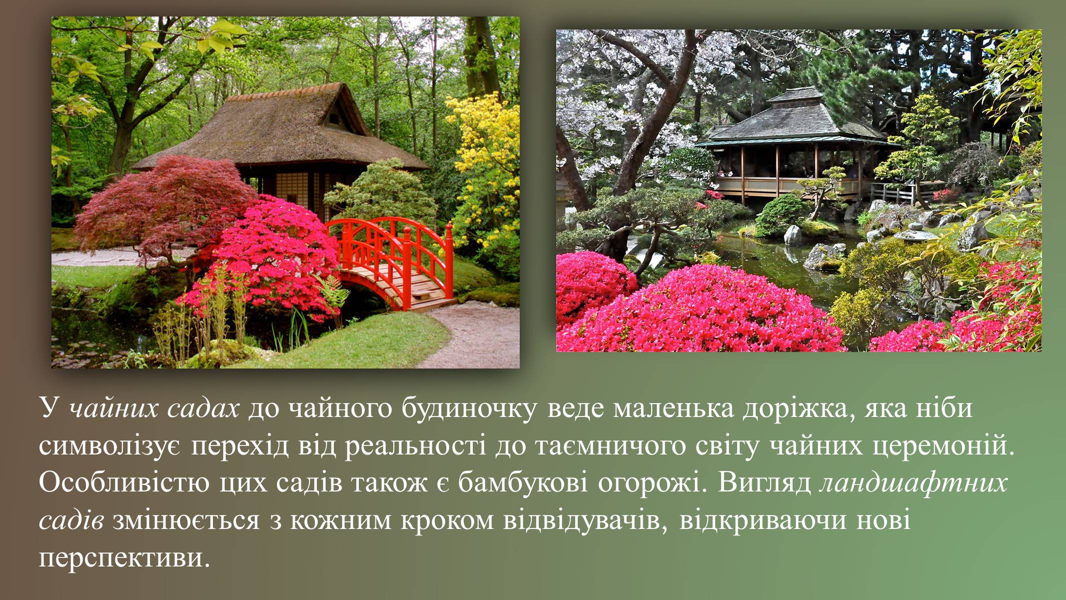 Презентація на тему «Японський ландшафтний сад» (варіант 3) - Слайд #7