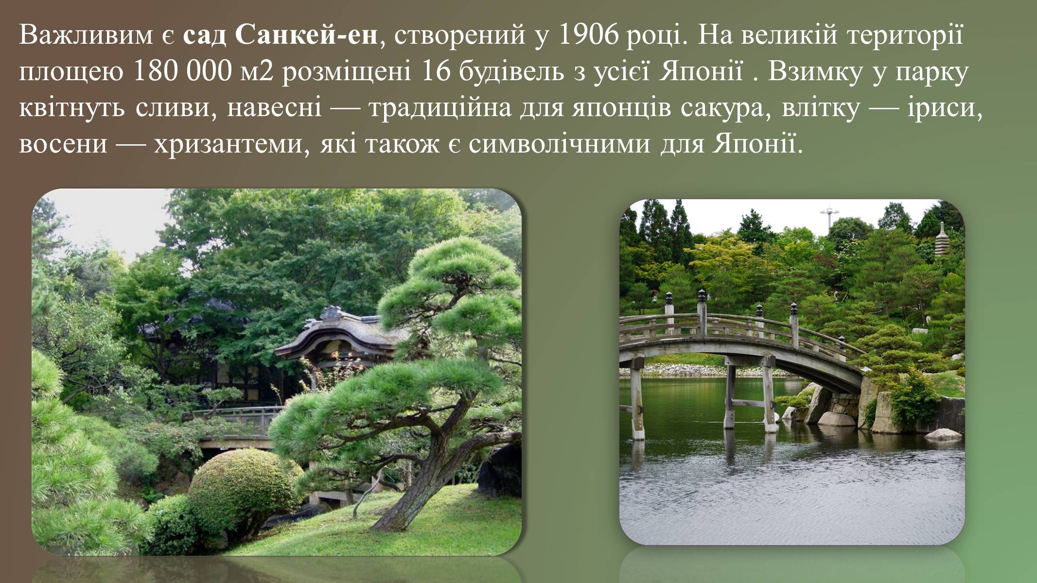 Презентація на тему «Японський ландшафтний сад» (варіант 3) - Слайд #8