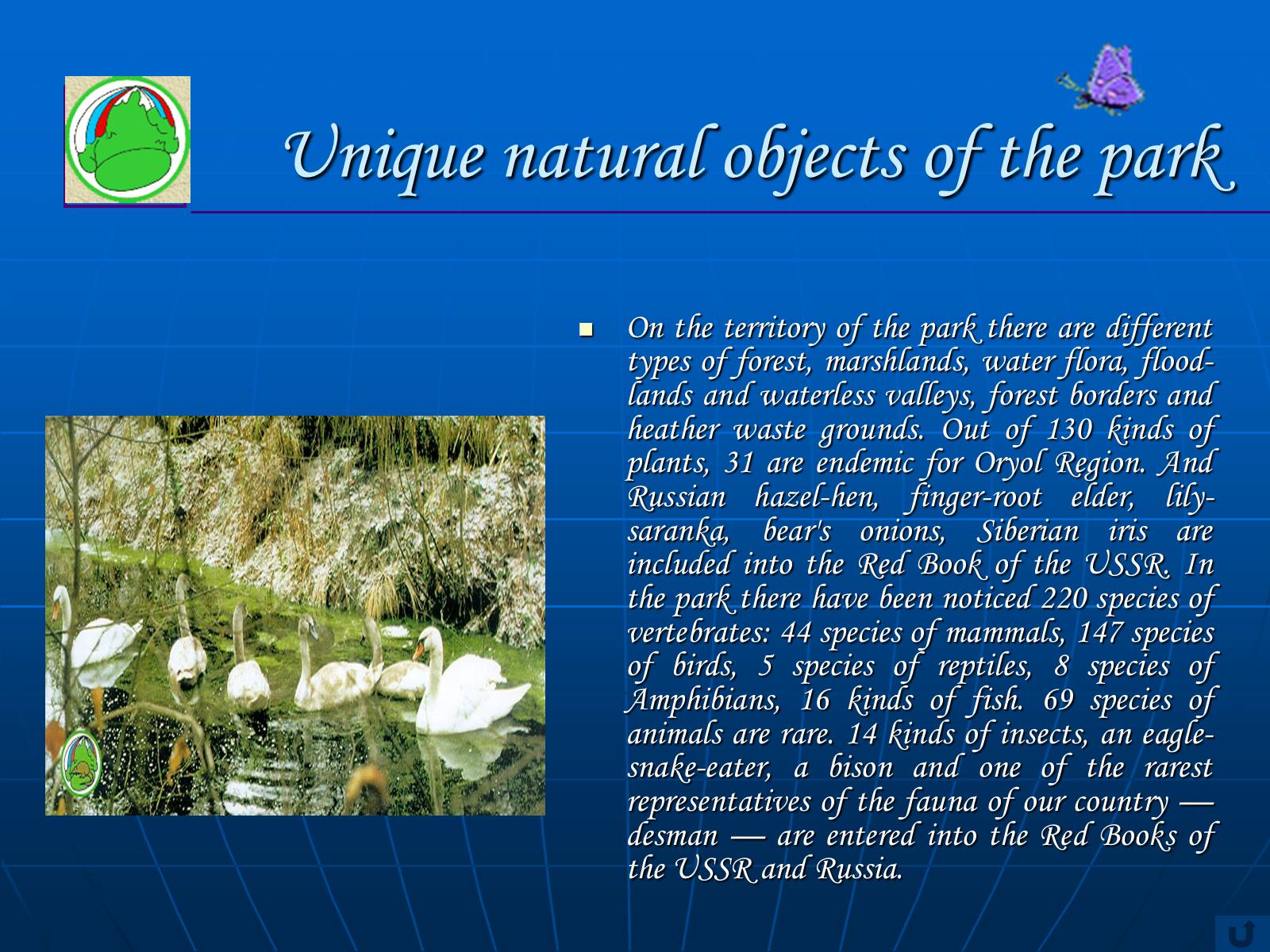 Презентація на тему «The protection of the environment» - Слайд #10