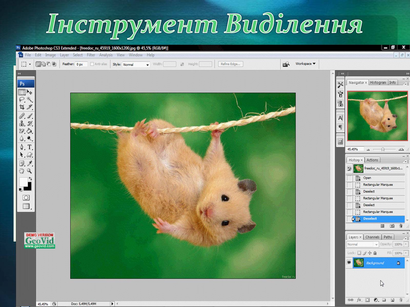 Презентація на тему «Графічний редактор Фотошоп» (варіант 2) - Слайд #30
