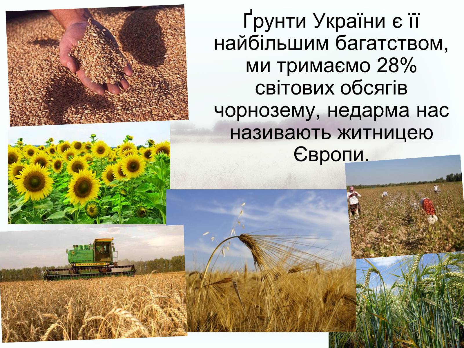 Презентація на тему «Забруднення грунтів України» (варіант 2) - Слайд #3