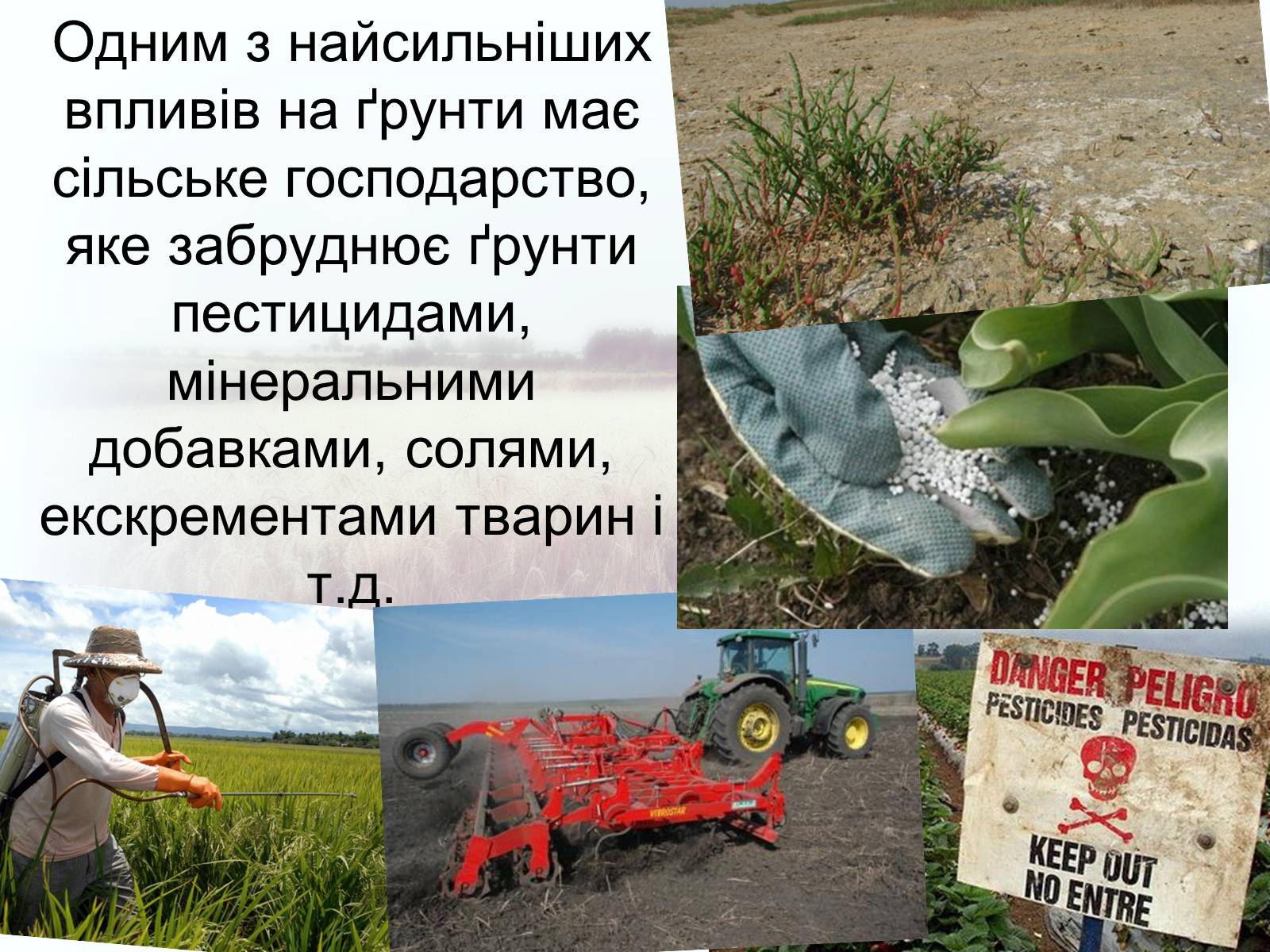 Презентація на тему «Забруднення грунтів України» (варіант 2) - Слайд #5