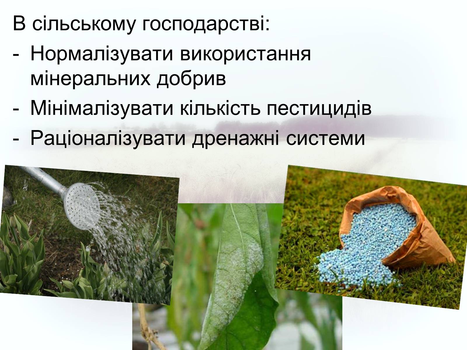 Презентація на тему «Забруднення грунтів України» (варіант 2) - Слайд #8
