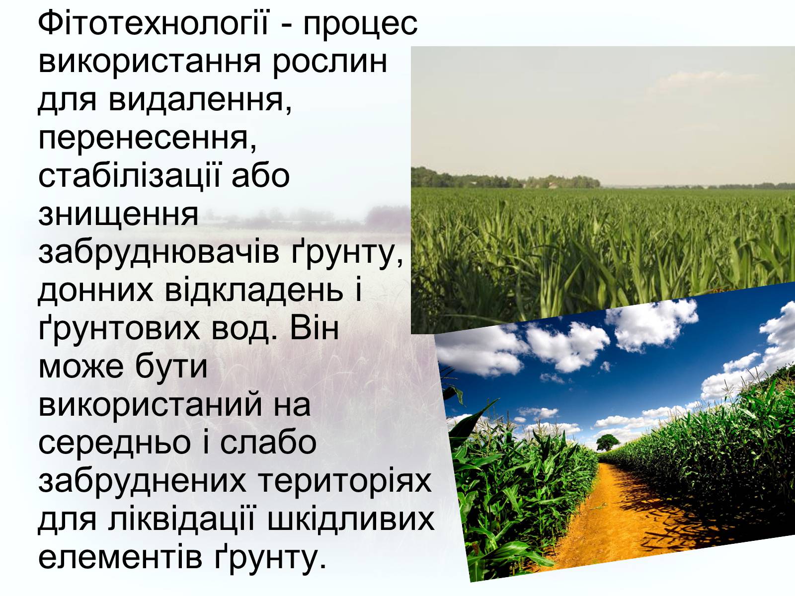 Презентація на тему «Забруднення грунтів України» (варіант 2) - Слайд #10