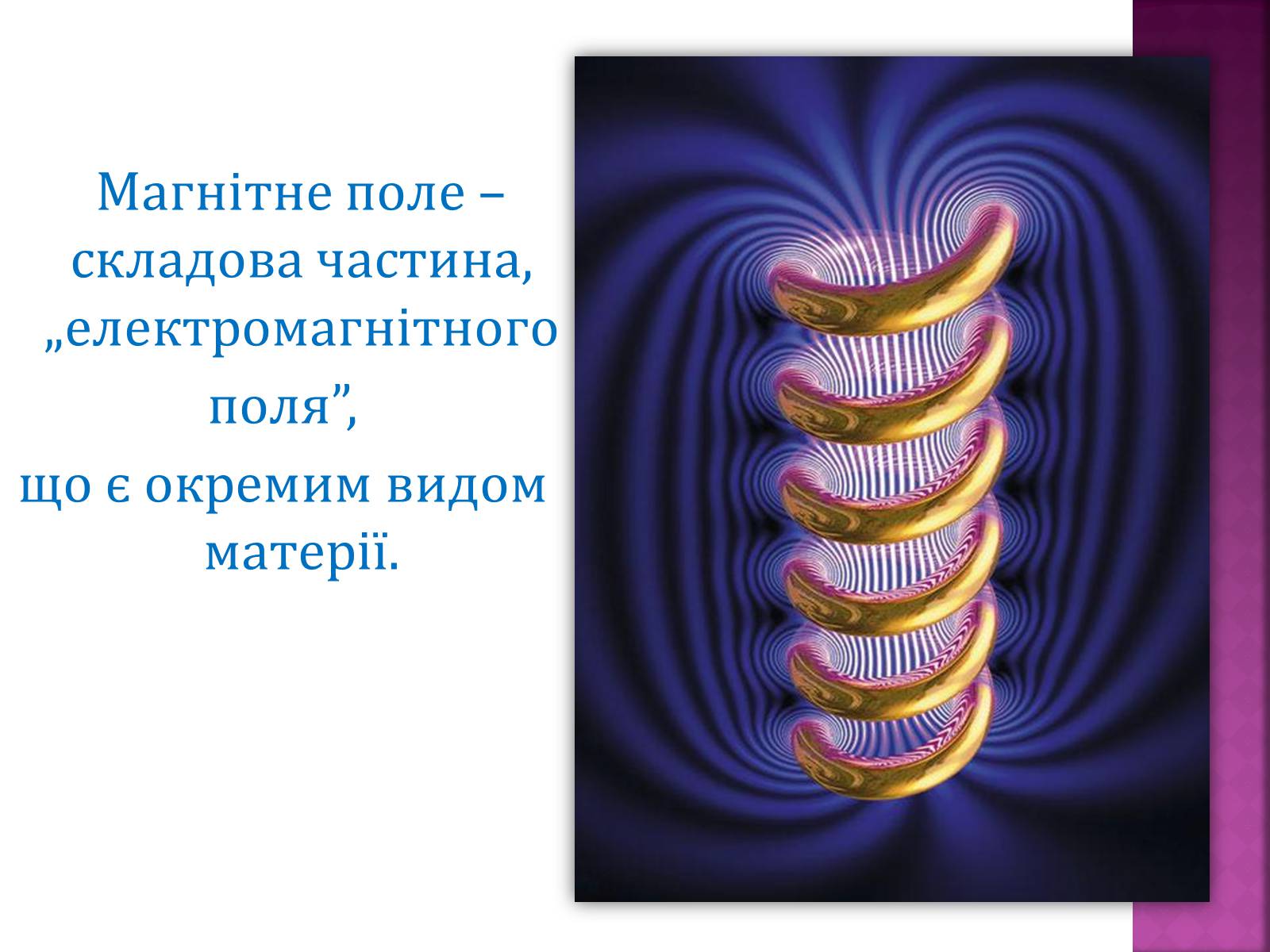 Презентація на тему «Вплив магнітного поля на живі організми» (варіант 5) - Слайд #2