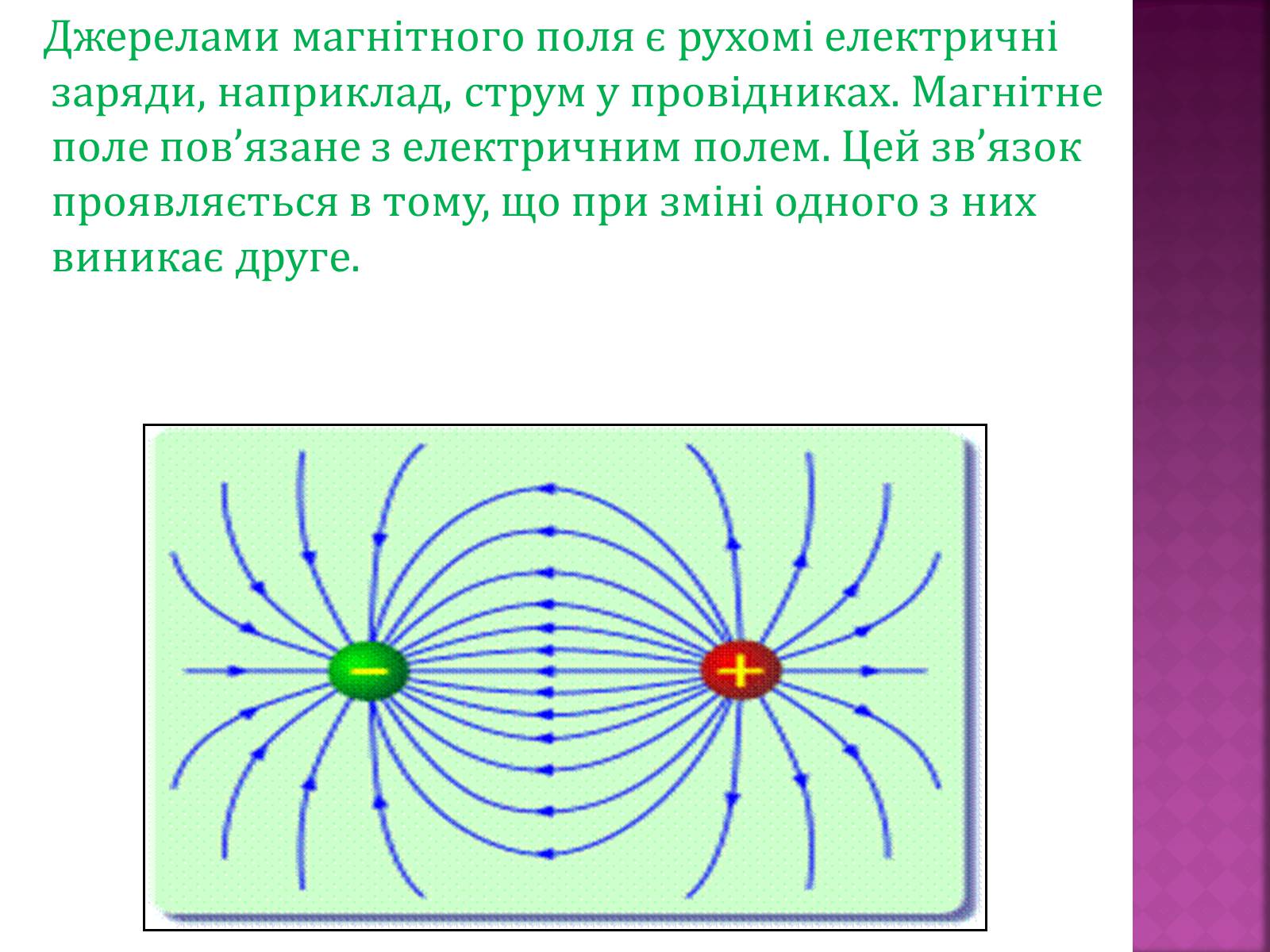 Презентація на тему «Вплив магнітного поля на живі організми» (варіант 5) - Слайд #4