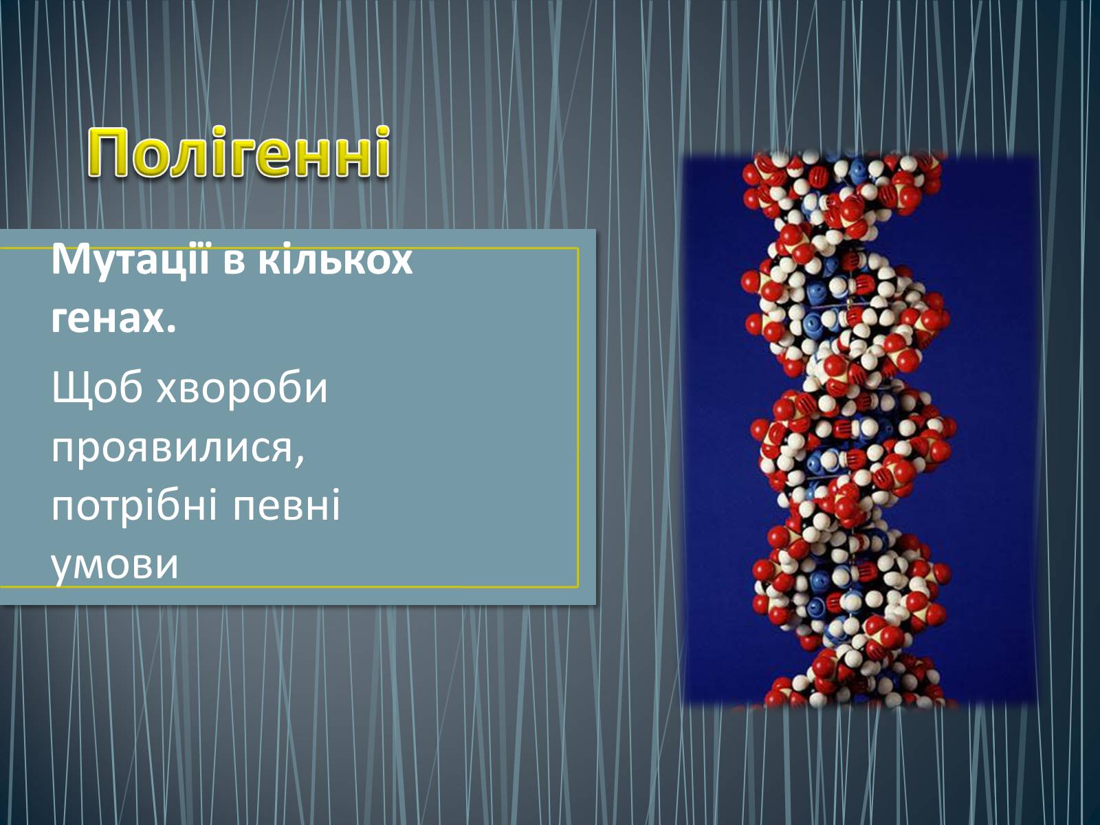 Презентація на тему «Типи генетичних хвороб людини» (варіант 3) - Слайд #11