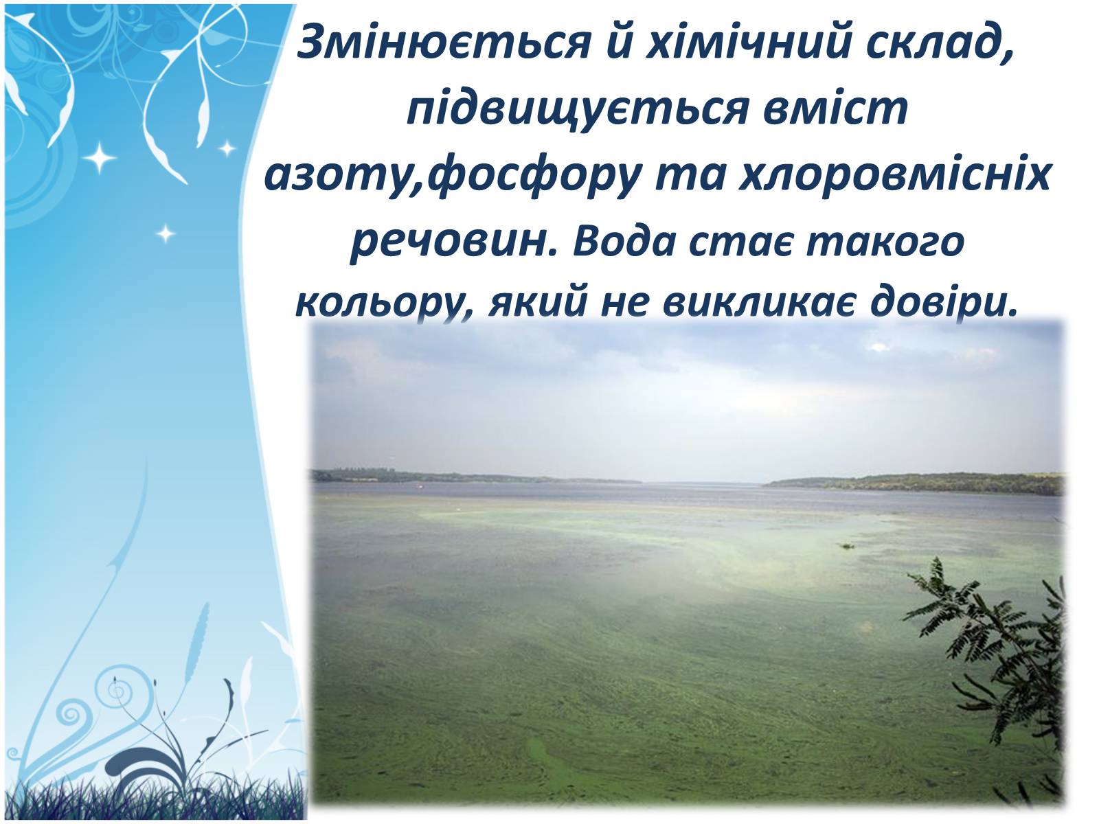 Презентація на тему «Екологія Дніпропетровської області» - Слайд #24