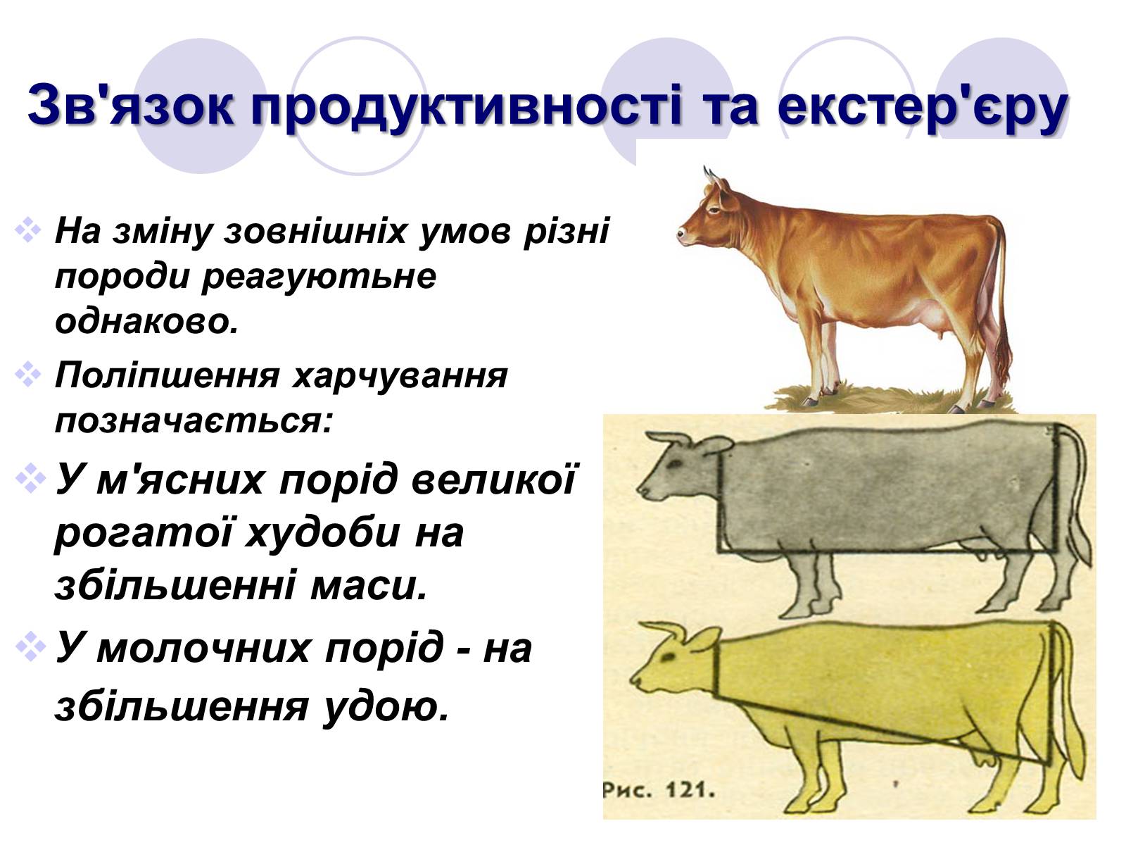 Презентація на тему «Селекція тварин» (варіант 1) - Слайд #9