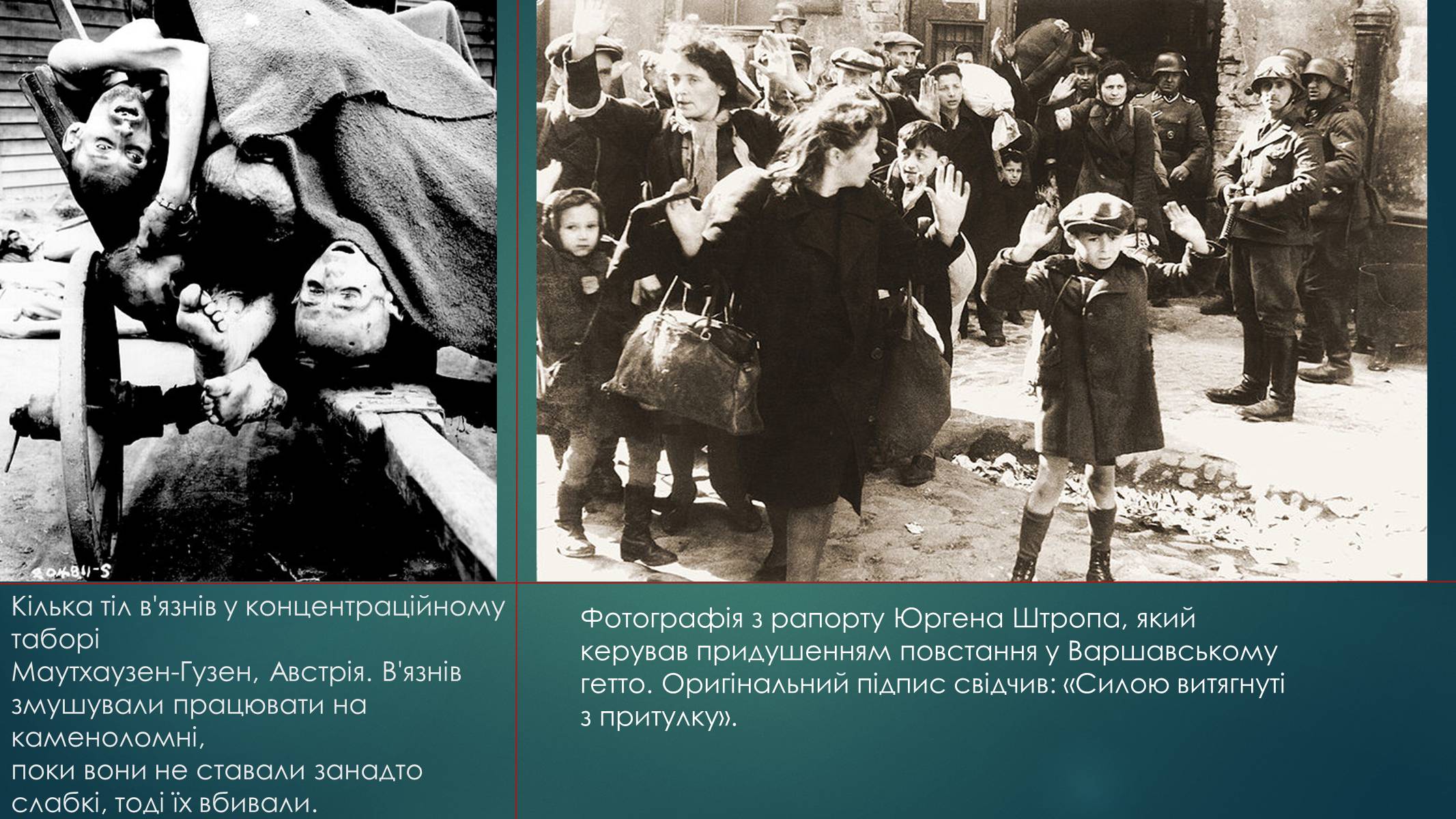 Презентація на тему «Голокост в Україні» (варіант 1) - Слайд #12
