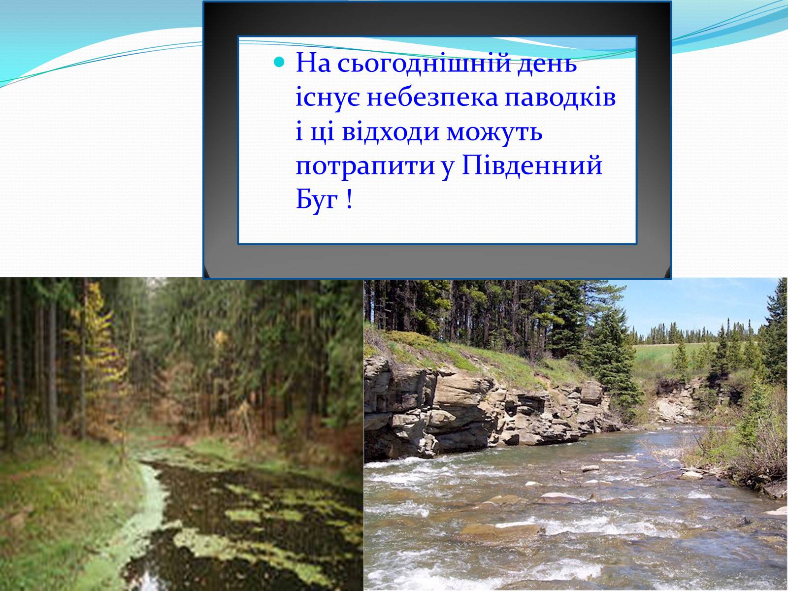 Презентація на тему «Забруднення річок на прикладі Південного Бугу» - Слайд #4