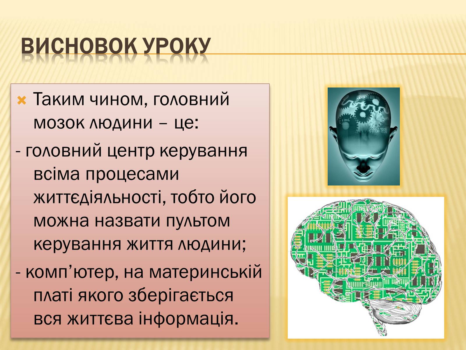 Презентація на тему «Головний мозок» (варіант 1) - Слайд #37