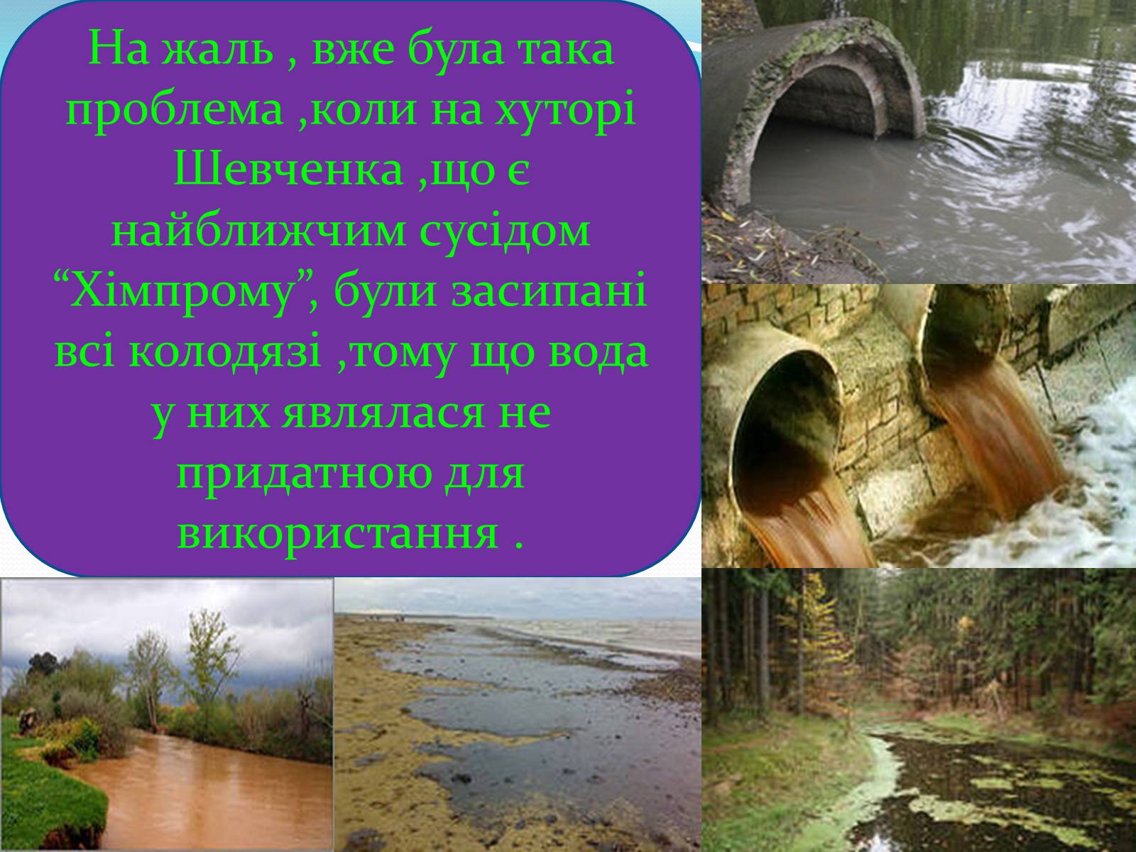 Презентація на тему «Забруднення річок на прикладі Південного Бугу» - Слайд #7