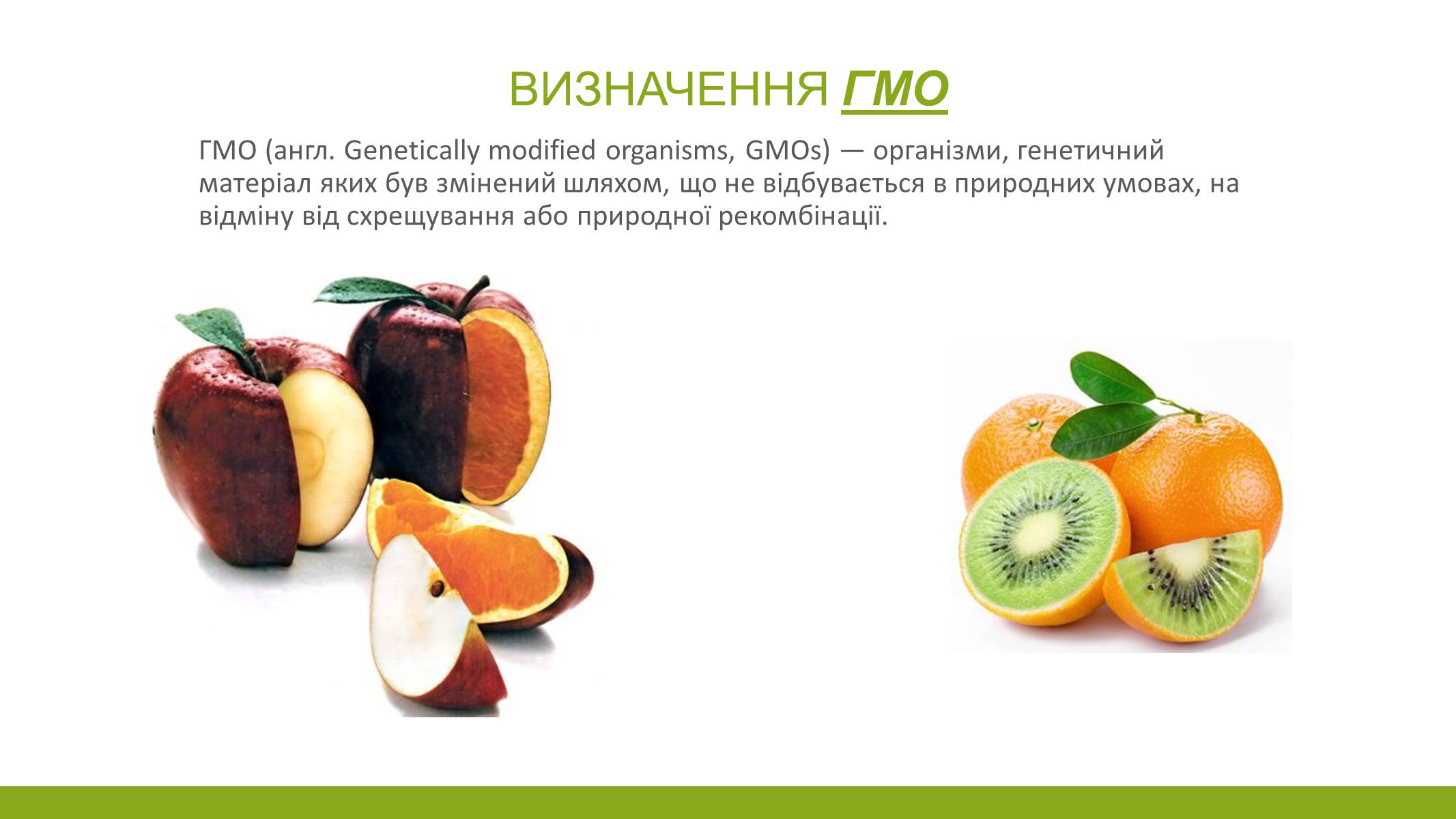 Презентація на тему «ГМО» (варіант 5) - Слайд #2