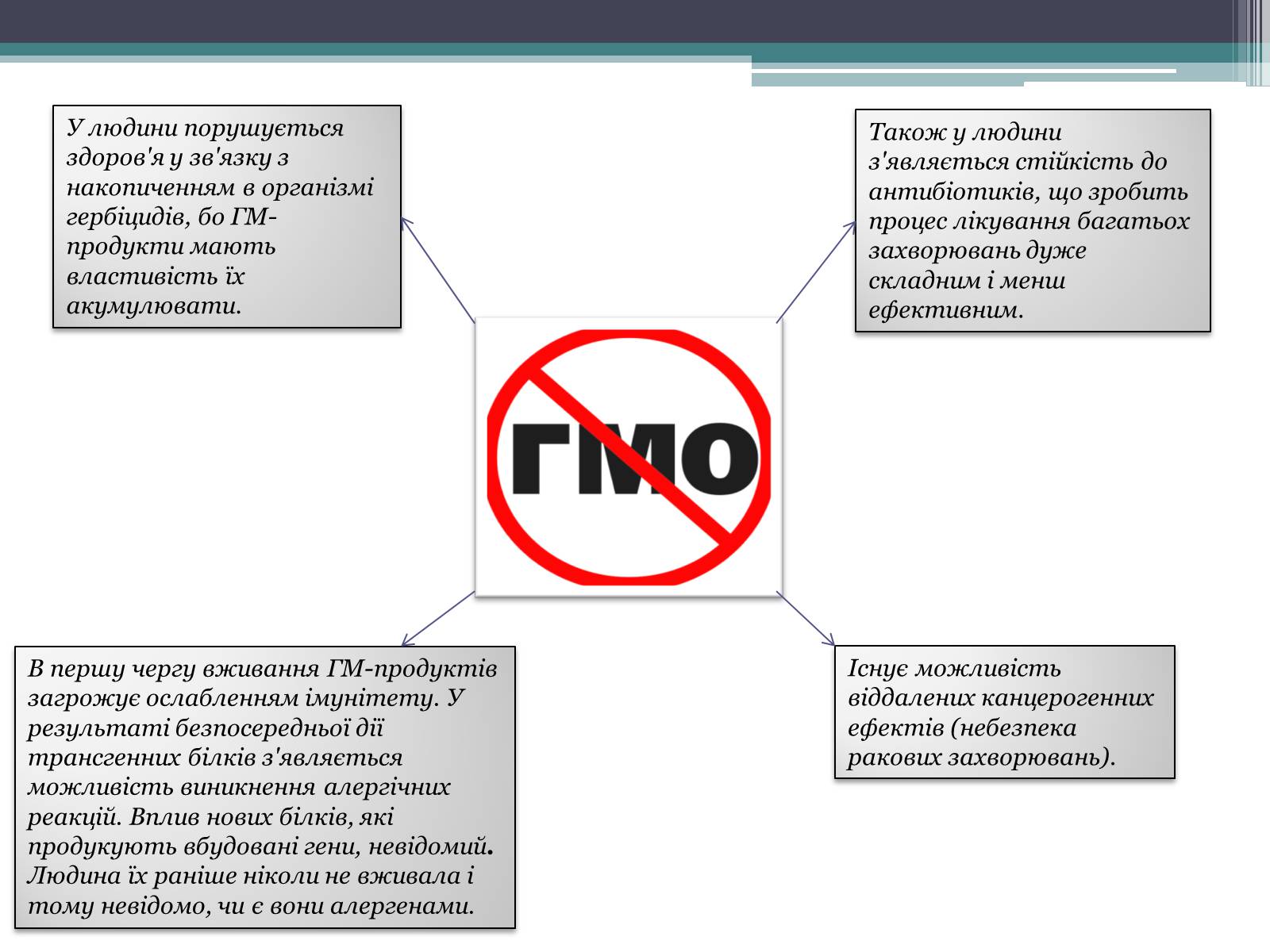 Презентація на тему «Генетично модифіковані організми» (варіант 3) - Слайд #13