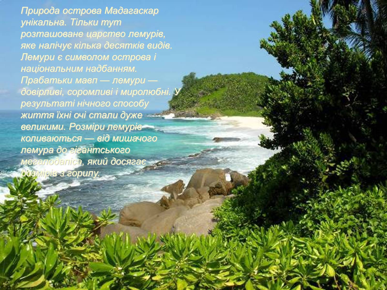 Презентація на тему «Мадагаскар» (варіант 1) - Слайд #4