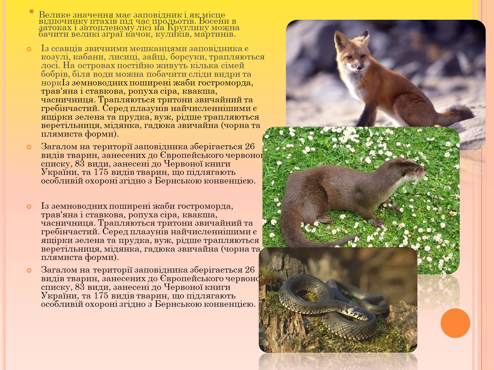 Презентація на тему «Канівський природний заповідник» - Слайд #15