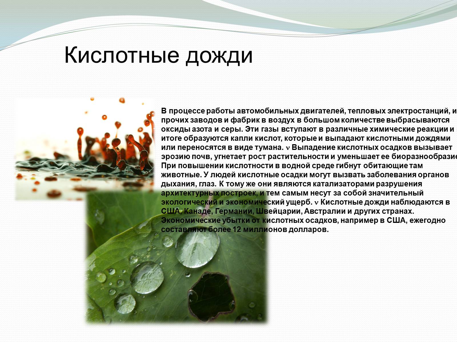 Презентація на тему «Экологические проблемы и их решение» - Слайд #6
