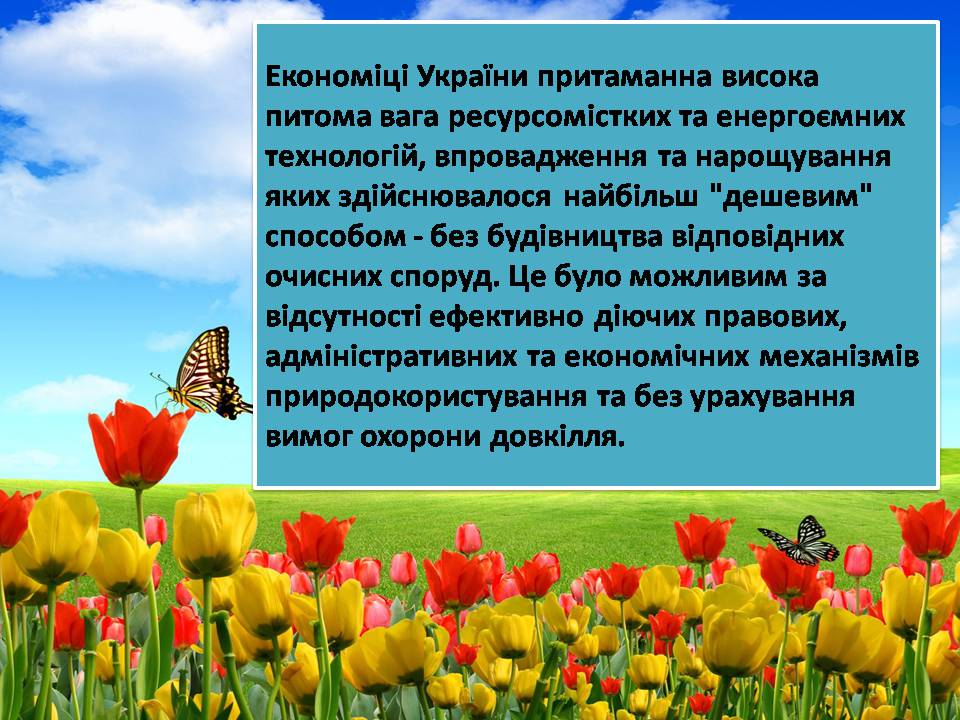 Презентація на тему «Сучасні проблеми природокористування в Україні» - Слайд #7