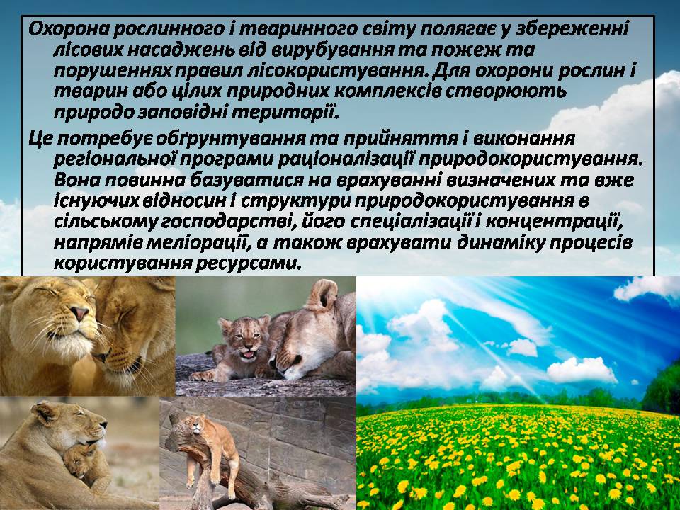 Презентація на тему «Сучасні проблеми природокористування в Україні» - Слайд #13