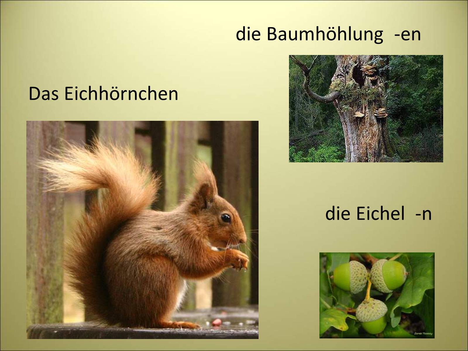 Презентація на тему «Es herbstet schon» - Слайд #12