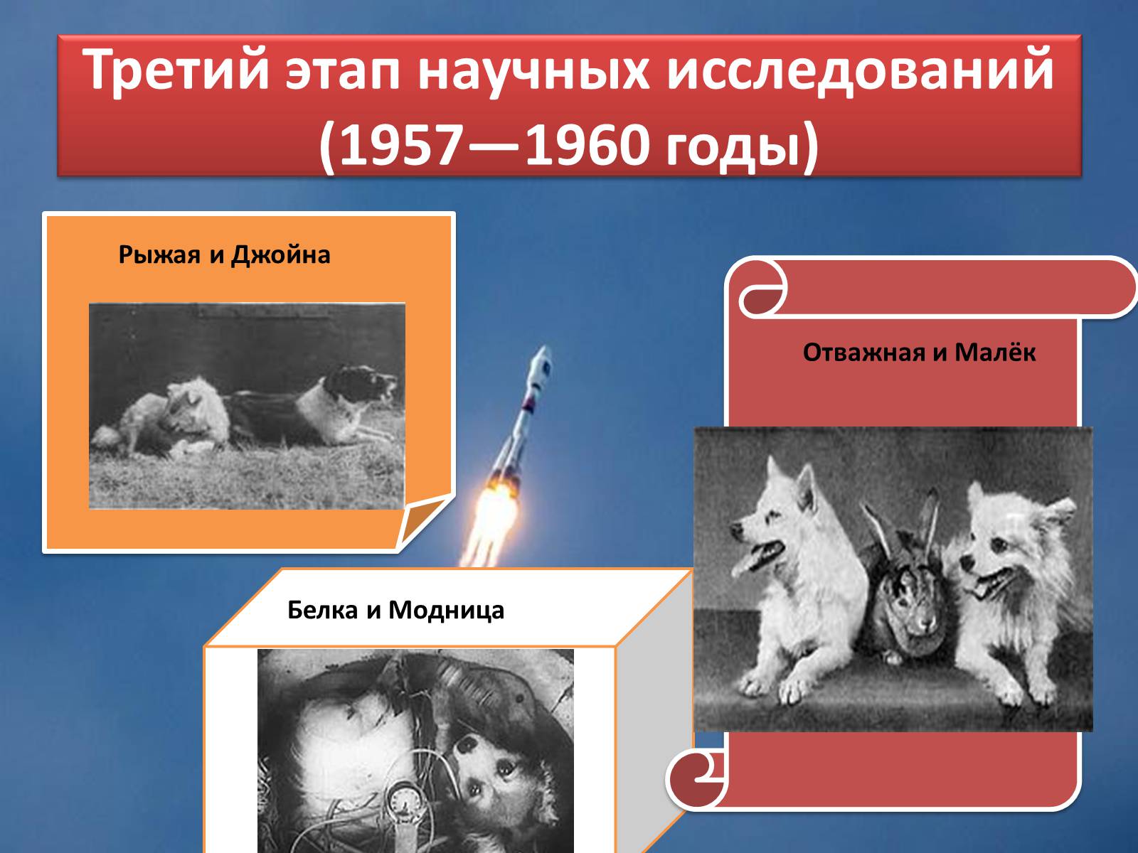 Презентація на тему «Животные в космосе» - Слайд #7