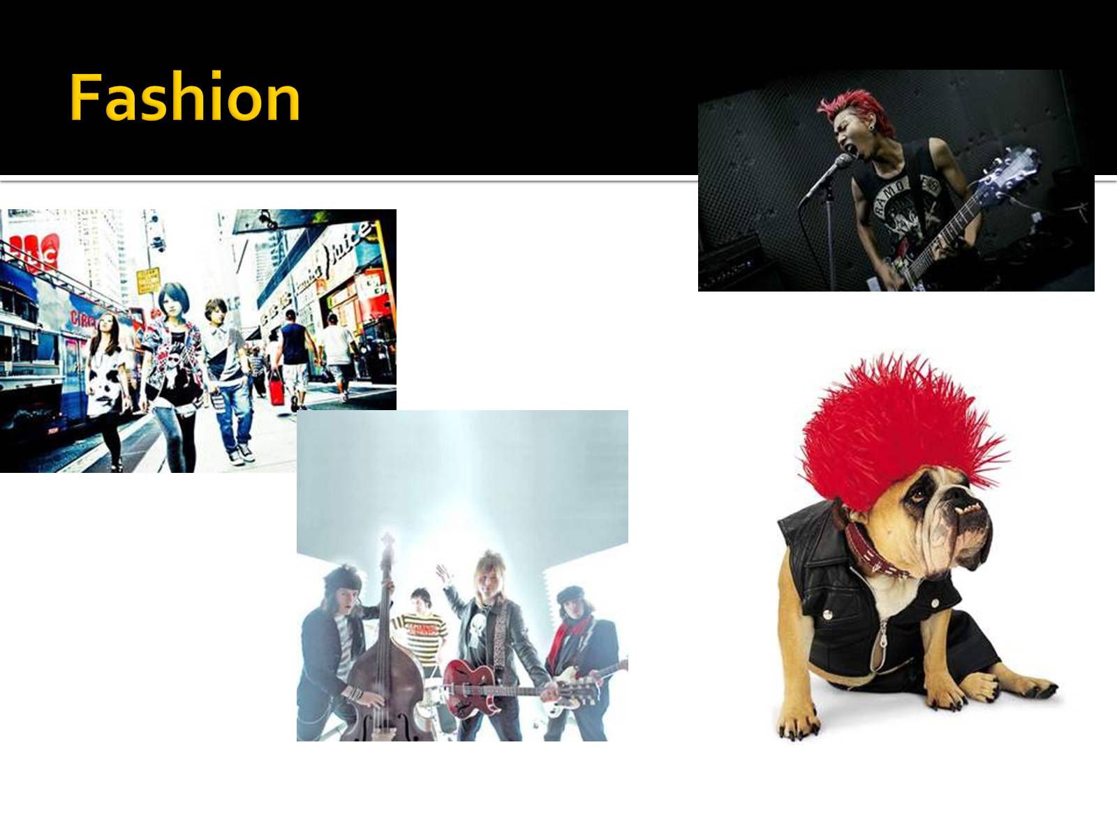 Презентація на тему «Punk subculture» - Слайд #5