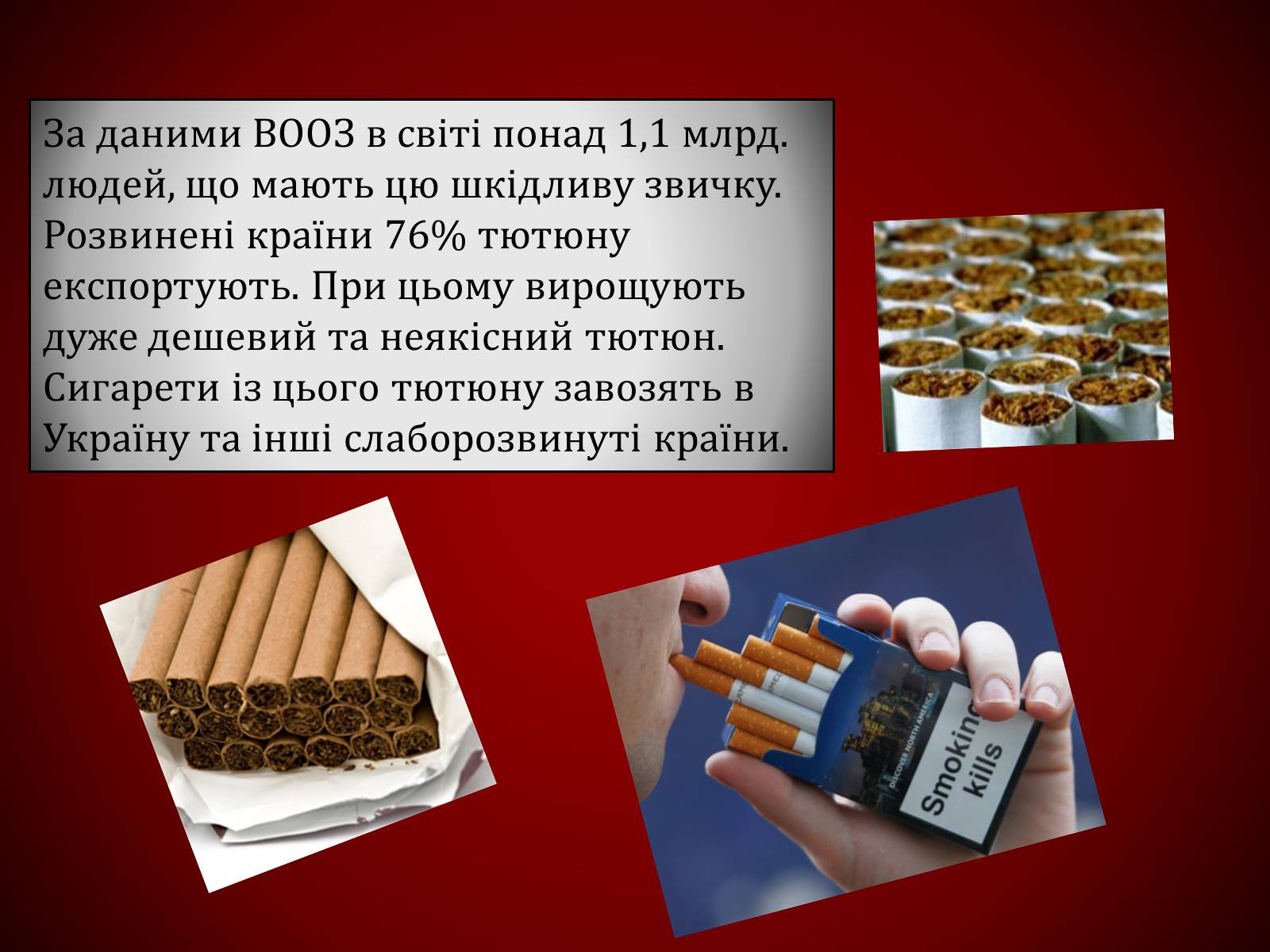 Презентація на тему «Шкідливий вплив тютюнопаління» (варіант 1) - Слайд #13