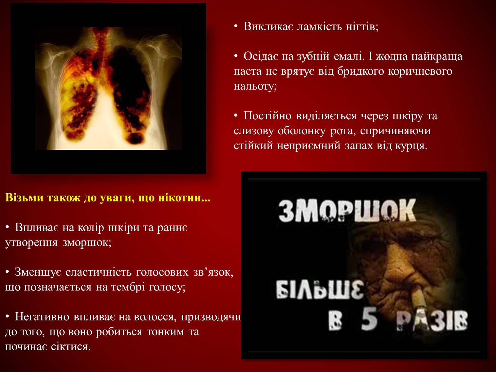Презентація на тему «Шкідливий вплив тютюнопаління» (варіант 1) - Слайд #22